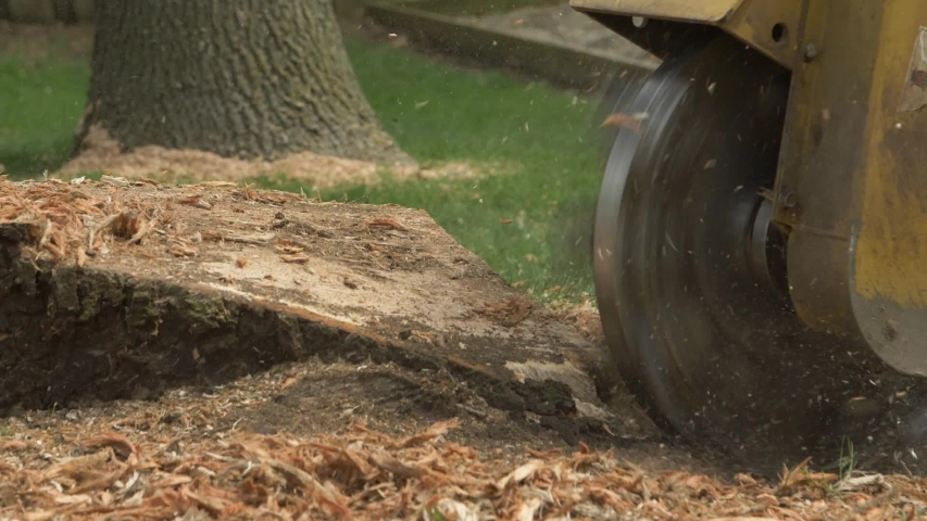 Put in the ground. Angle-Iron Stuck in the ground as a support.