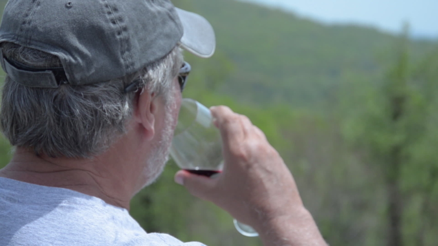 Close-up, an unrecognizable man drinks wine and looks at the view, Virginia, USA