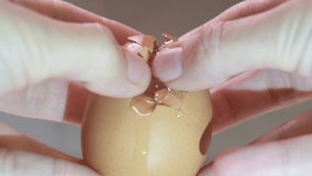 Video close up of human hands cracking an egg. 4K video of egg against gray background looking at egg. Female hands breaking brown egg.