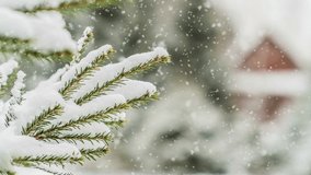 Cinemagraph! snowfall in the forest, beautiful winter landscape, video loop
