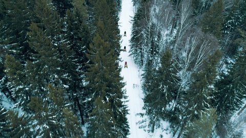 Top view drone shot.Snowmobiles ride on road through winter forest.Russia