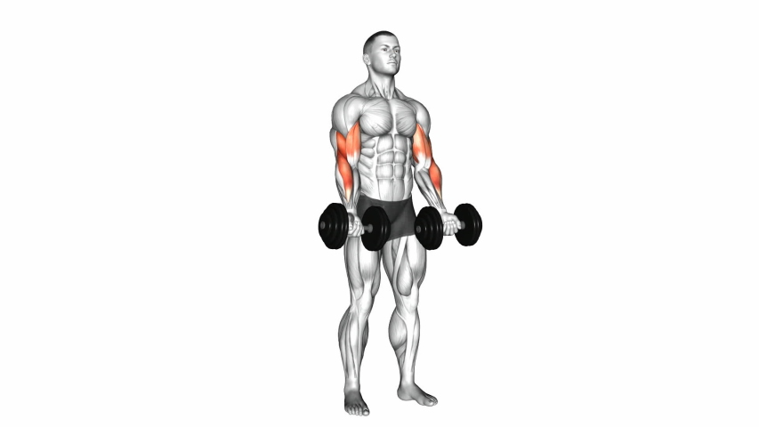 Dumbbell Zottman Curl On Biceps 3d Stock Footage Video (100% Royalty 