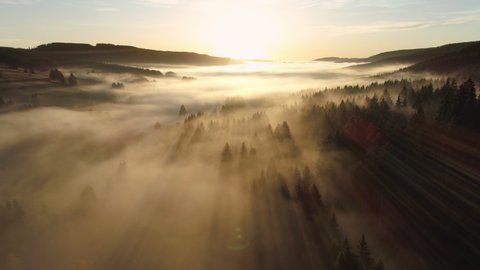 Aerial view of sunrise with fog above lake Schluchsee, Germany