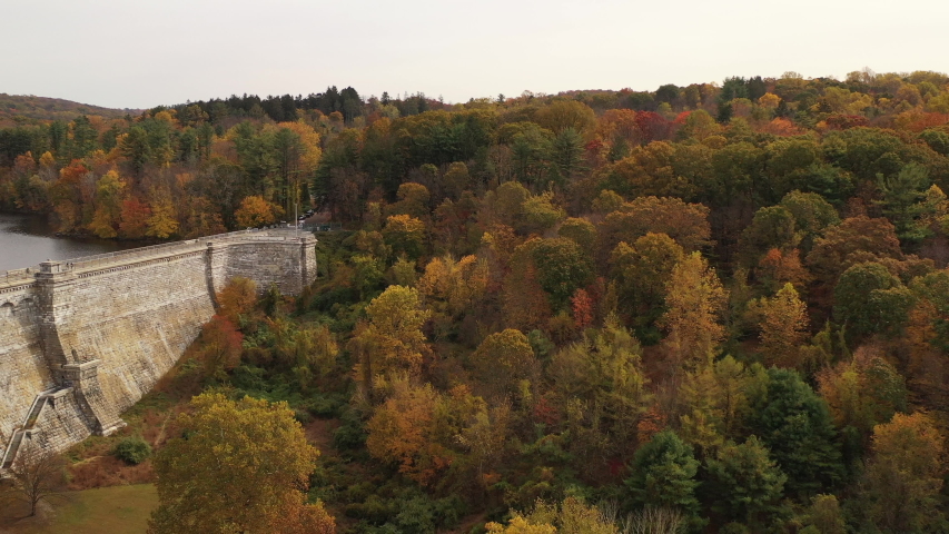 aerial pedestal shot downward over the orange colored tree tops in autumn with the dam