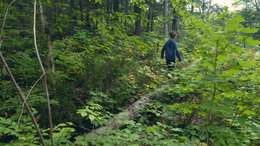 Aerial: Father and daughter walking along a forest path during the summer time. Quebec, Canada. 