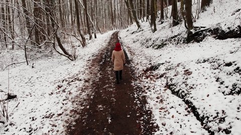 Back view of adult woman walk in winter forest. Camera follow behind. Snowy nature landscape. Activity relax on fresh air concept