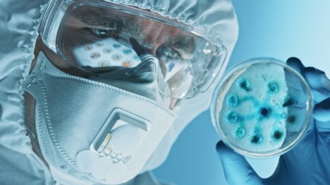 Scientist Wearing Respirator Mask, Coverall and Safety Glasses Looks at Petri Dishes with Bacteria, Tissue and Blood Samples. Medical Research Laboratory Curing Epidemic Diseases. Close-up Macro