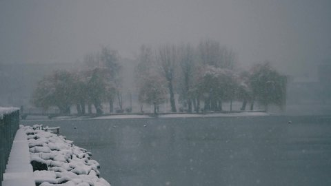 Snow is falling in the park with fog, like in a fairy tale. slow motion
