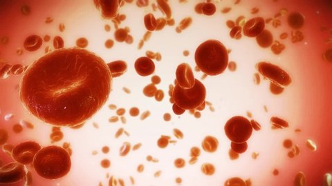Background Animation Biology Blod Cells