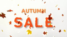 Autumn sale, discount, promo,
seasonal for e-commerce website video template - Powered by Shutterstock - Get 15% off with code: PIKWIZARD15