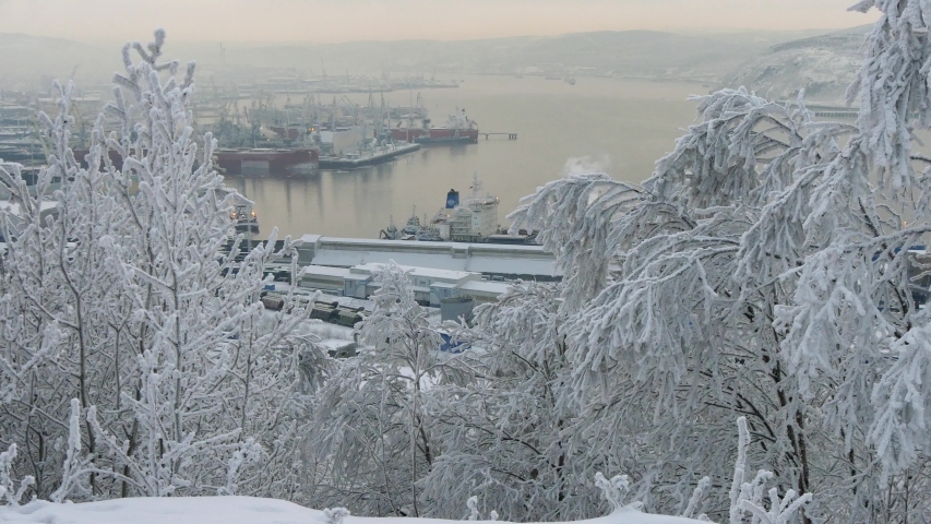 Frost-covered wood on the background of the river and the port on a dusk winter day.  
