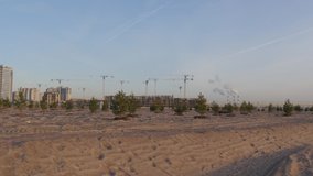 Small spruce trees planted in construction site area. Urban landscape 4k video.