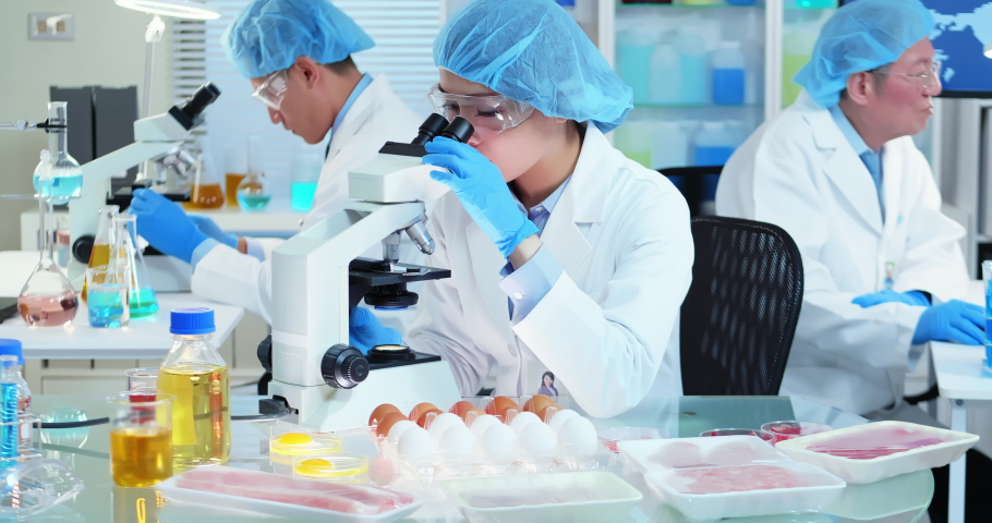 Asian Quality control expert inspecting at food specimen meat in the laboratory Royalty-Free Stock Footage #1043045317