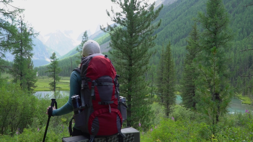 Tourist with red backpack and poles looks at the blue lake and mountain peaks in the national park. Beautiful green forest around. View from behind. 4k footage.