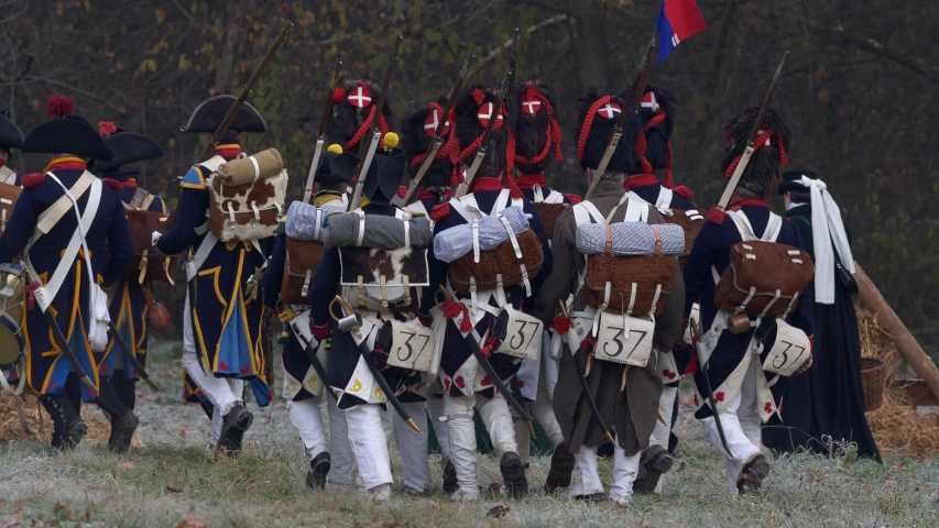 Horses in Napoleon army Grande Armee, Austerlitz