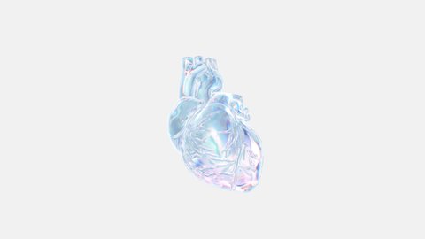 An isolated 3D rainbow chromatic color real human heart shape beating on white background with alpha channel