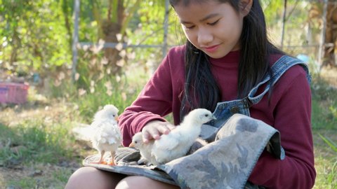 On a good light day. Smiling happy, cute Asian girl holding three small chickens in her hand at the farm. 4K video