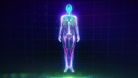 Colorful Human Body animation with flares and particles showing veins, bones, organs and skin. Plexus. Futuristic and Artistic concept of human anatomy. Full Body Circulatory System. 4K UHD - Powered by Shutterstock - Get 15% off with code: PIKWIZARD15