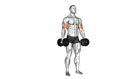 Dumbbell Standing Inner Biceps Curl 3d Stock Footage Video (100% ...