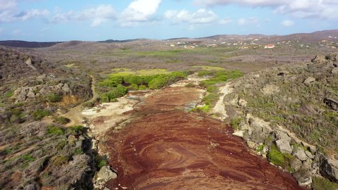 Aerial view of coast of Curaçao in the Caribbean Sea with bay full of Sargassum seaweed and plastic trash around Boka Ascension