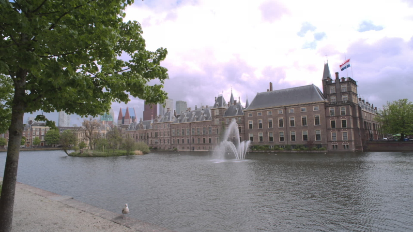 Binnenhof Complex and waterfront in the Hague in the Netherlands with waving Dutch flag- Dutch Parliament Building with fountain and a seagull in the foreground