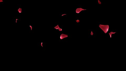 Rose petal falling with black background.3D rendering.
fall 2 Clip start to end and loop animation .Element footage.Easy to use and change color. This work have alpha channel.