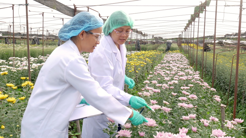 Two woman scientists are stand, analysis and discuss about the flower research in flower garden during day time.
