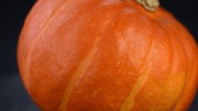 Portion of rotating Pumpkin in detailed 4K (seamless loopable; close-up)