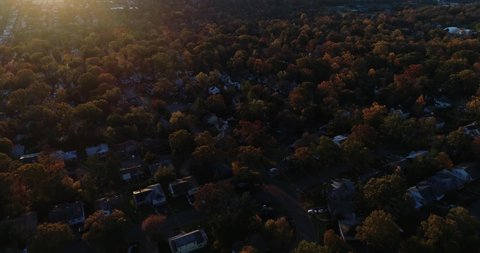 Iconic 4K aerial of a typical, leafy American suburb neighborhood in autumn