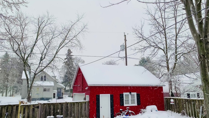 Snow falling in Marinette, Wisconsin 2019, snowing in the backyard, dead tree. very cold winter.