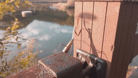 Scenic cinematic slow motion video of mantis crawling on fence near Nakdong River in Andong in South Korea. Beautiful summer sunny sunset look of wildlife of Republic of Korea