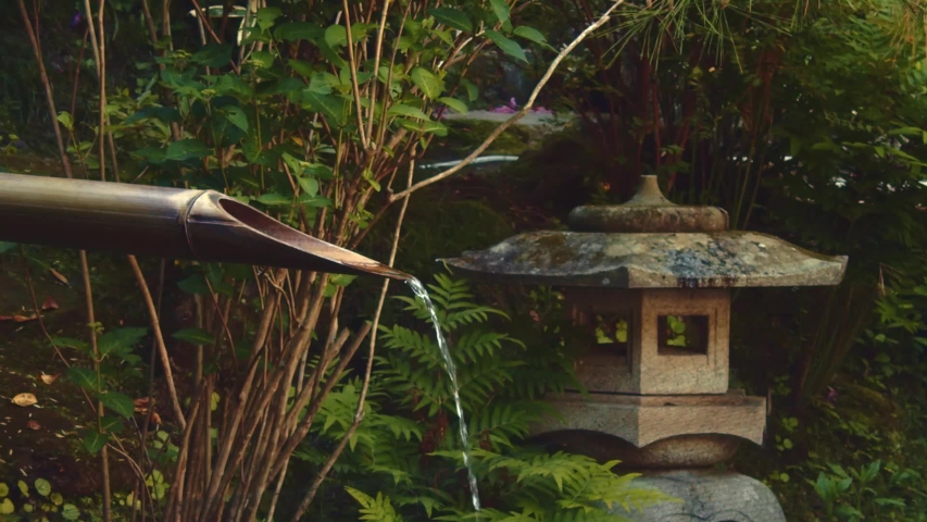 Japanese traditional water  garden 