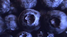 Ripe large blueberries close-up. Macro video. The concept of vitamin food, a fresh harvest of berries. Blue saturated shades.