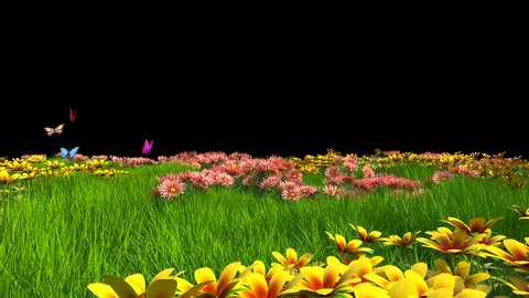 Flowery Meadow with Butterflies Alpha Matte 3D Animation Rendering 4K