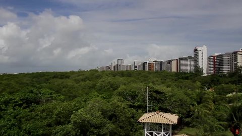 Aracaju, SE - Brazil -  View of the city, area green, lush nature.