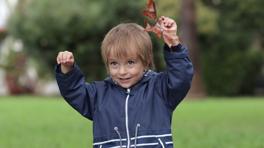 The little boy holds yellow autumn leaves and smile at the camera neutral colors for color grading