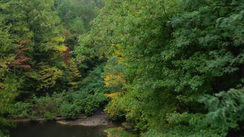 Rainy day at Amicalola State Park in Georgia
