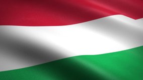 Flag of Hungary. Waving flag with highly detailed fabric texture seamless loopable video. Seamless loop with highly detailed fabric texture. Loop ready in HD resolution 1080p 60fps