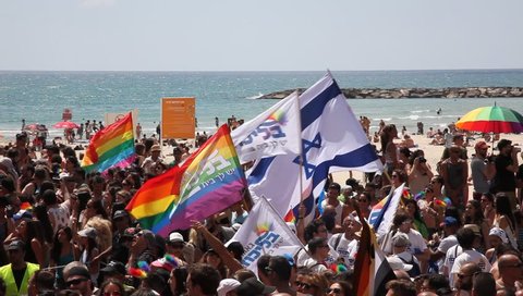 TEL AVIV, ISRAEL - JUNE 12, 2015: Gay, Lesbians, Bisexuals, Transgenders of Likud party and their fans march during the Gay Pride Parade Festival in Tel Aviv.