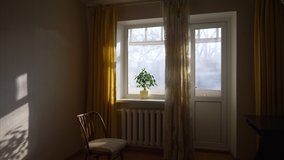 sunlit room with big window and chair, sofa, potted plant, early morning in cozy interior, slow motion - Powered by Shutterstock - Get 15% off with code: PIKWIZARD15