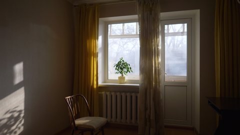 sunlit room with big window and chair, sofa, potted plant, early morning in cozy interior, slow motion