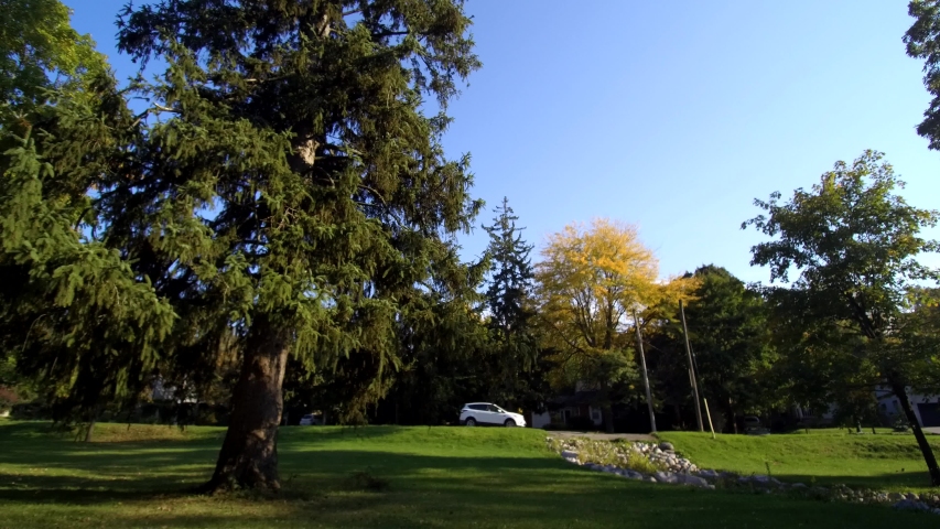 Street Park View Driving Past Vehicles In Recreational City Park Nature