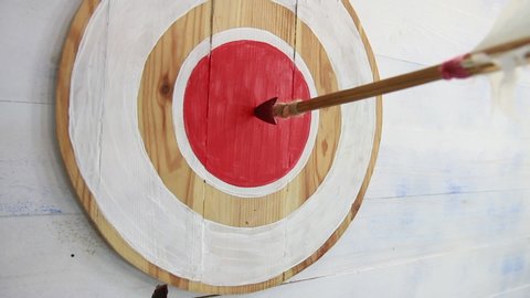 Wooden arrow, with an iron tip and white plumage, hit right on target, in wooden shield with a red circle inside
