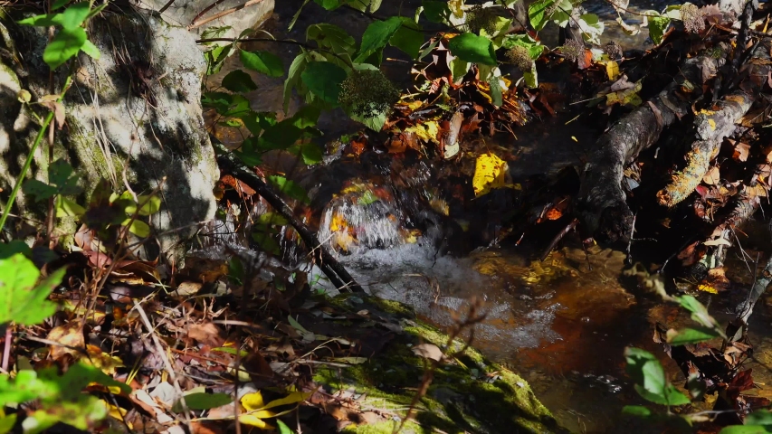Small creek with a water fall in Amicalola Falls state park
