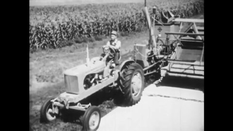 CIRCA 1953 - A farmer and his sons inspect their corn field.