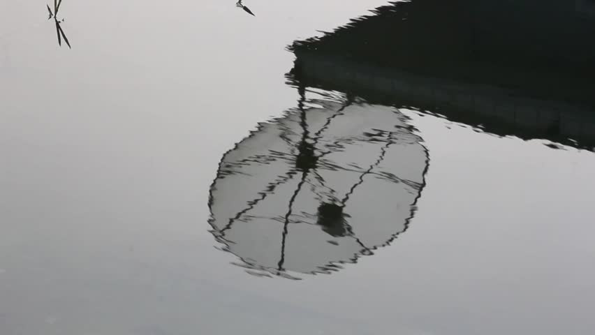 Satellite Aerial Relfects In Water