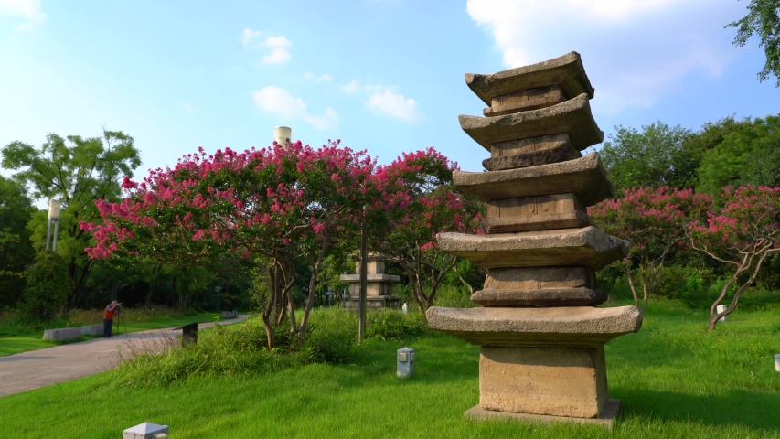 Panoramic video decorative stone multi-tiered pagoda in Seoul Park. Bright green grass and trees, flowering branches, blue sky.