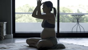Concentrated young lady training. Beautiful future mother stretching at home. Pregnancy concept