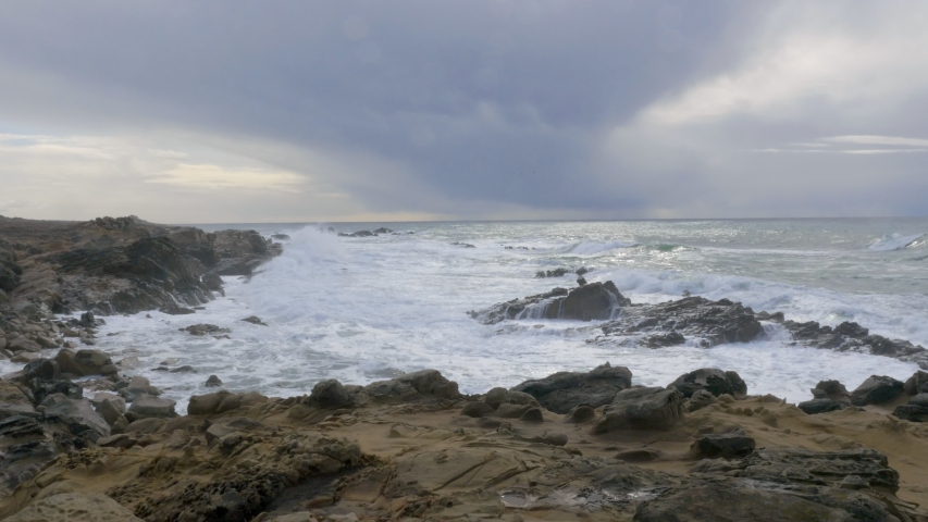 Landscape along the shoreline at point beach state park image - Free ...