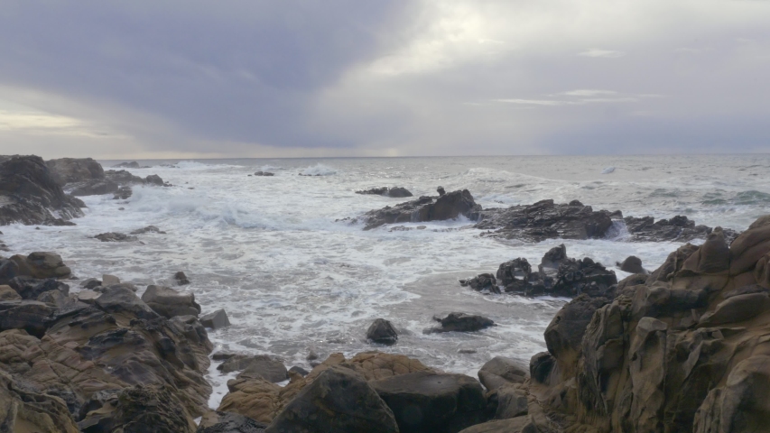 Landscape along the shoreline at point beach state park image - Free ...